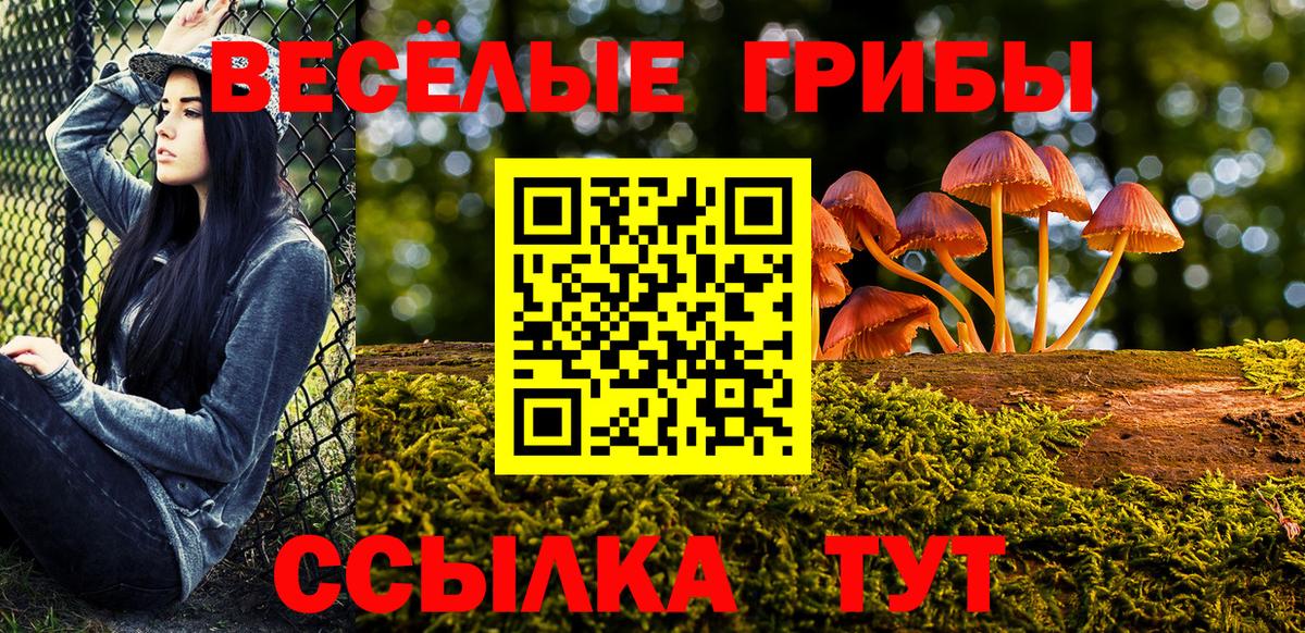 Галлюциногенные грибы Psilocybine cubensis Балахна