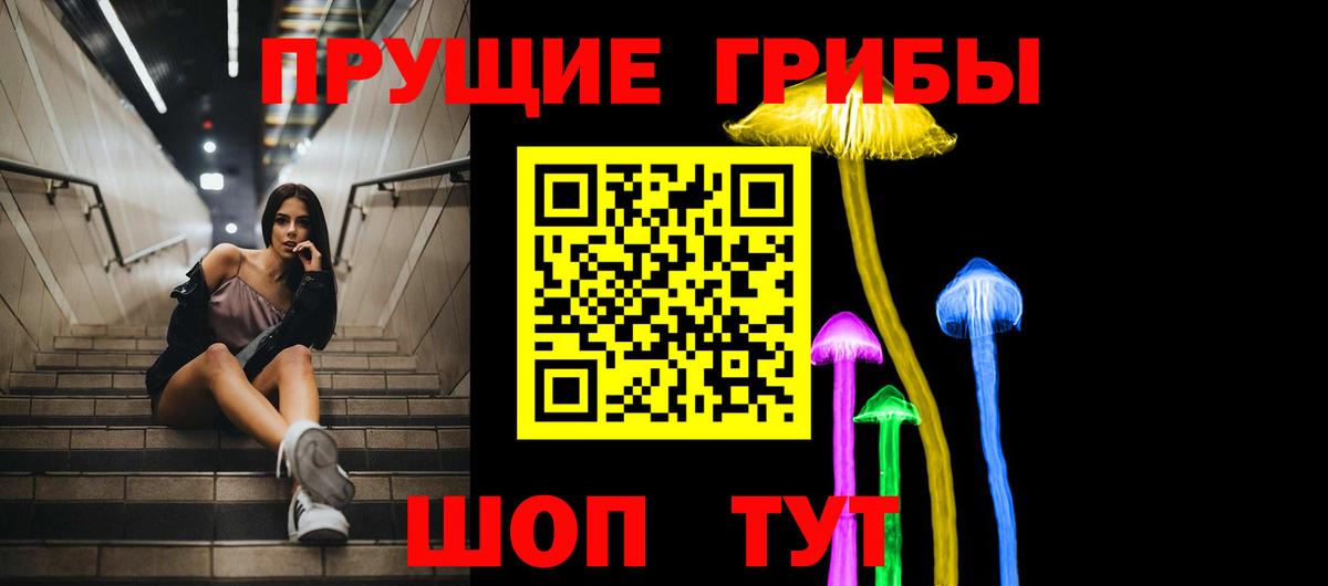 Балахна  Галлюциногенные грибы Cubensis  купить закладку  Вход с VPN 